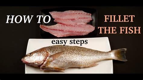 how to fillet a fish|How to Fillet ANY Fish (SIMPLEST Method for BEGINNERS!).